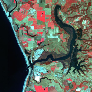 Picture of aerial photo of Elkhorn Slough.  The Carneros Creek Watershed is contained within the Elkhorn Watershed and includes all areas upstream from Elkhorn Slough.  Copied from Elkhorn Slough Foundation.