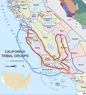 Tribes Expanded Focus