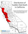 Distribution sudden oak death CA.jpg